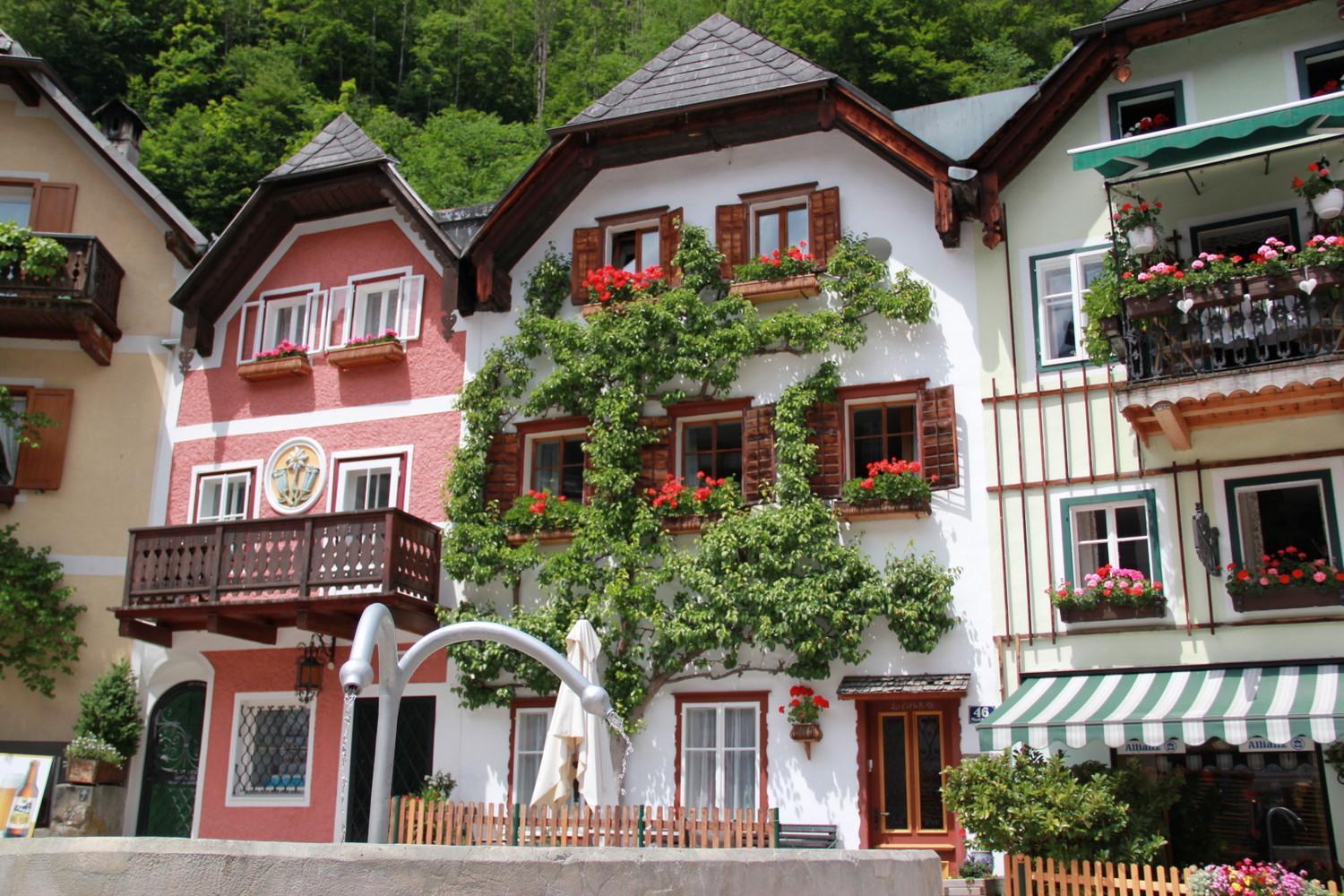 Apartments Gamsfeld Rußbach am Paß Gschütt Exteriör bild